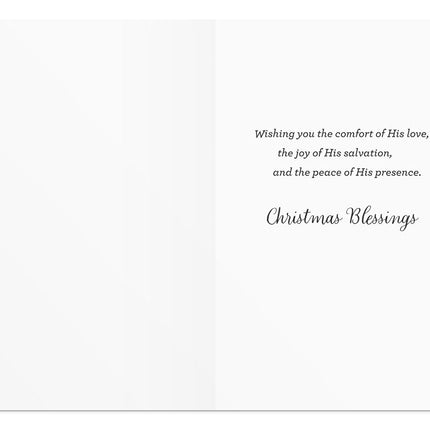 DaySpring - Black and White Christmas Classics - 60 Bulk Christmas Boxed Cards and Envelopes (U1347)