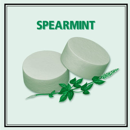 PASTILLES À LA MENTHE FORTE ALTOIDS, MENTHE VERTE, BOÎTES DE 49,90 g (LOT DE 12)