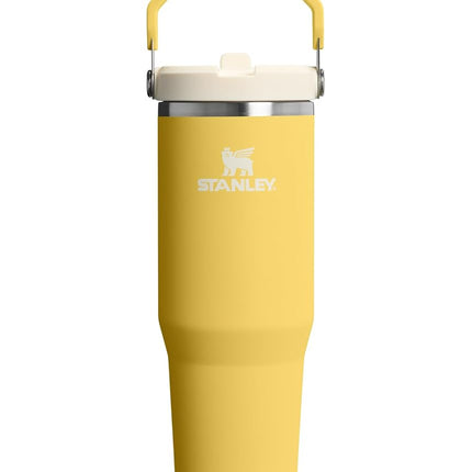 STANLEY IceFlow 2.0 Flip Straw Tumbler with Handle 30 oz | Twist On Lid and Flip Up Straw | Leakproof Water Bottle | Insulated Stainless Steel | BPA-Free | Daffodil