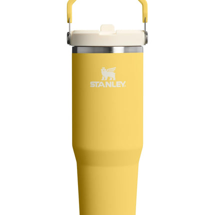 STANLEY IceFlow 2.0 Flip Straw Tumbler with Handle