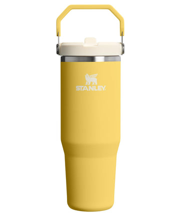 STANLEY IceFlow 2.0 Flip Straw Tumbler with Handle