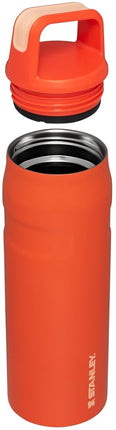 STANLEY IceFlow Cap and Carry Water Bottle 24 oz | Wide Mouth Twist Lid | Lightweight and Leakproof for Travel and Sports | Insulated Stainless Steel | BPA-Free | Tigerlily