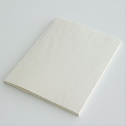 Midori MD Notebook - Large Plain Paper