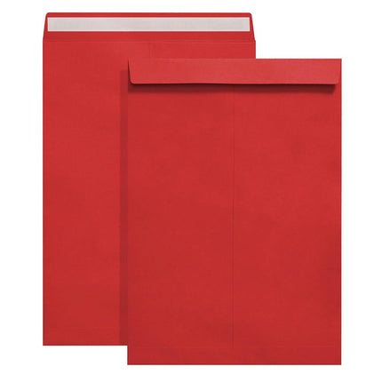 Tanshuqin 9" x 12.75" Red Self-Seal Catalog Envelo