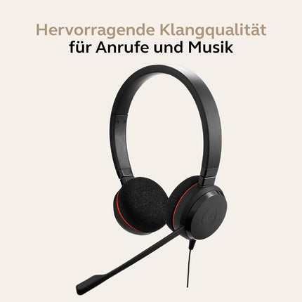 Jabra Evolve 20 MS Mono USB-C