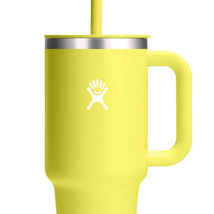 Hydro Flask All Around Travel Tumbler Cactus 32 Oz