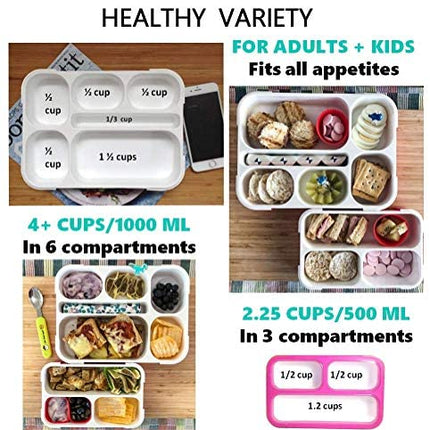 kinsho Stainless Steel Bento Lunch Boxes (Pink Large + MINI, 2)