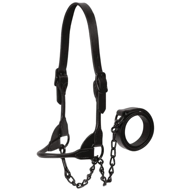 Weaver Leather Livestock Black Magic Show Halter, Medium