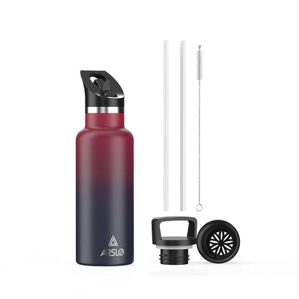 Arslo Stainless Steel Water Bottle with Straw - Insulated Water Bottle for Sports, Gym, School, Commute, Adults/Kids - Keep Cold for up to 24 Hours - Sweat/Leak-proof - 2 Lids - BPA Free