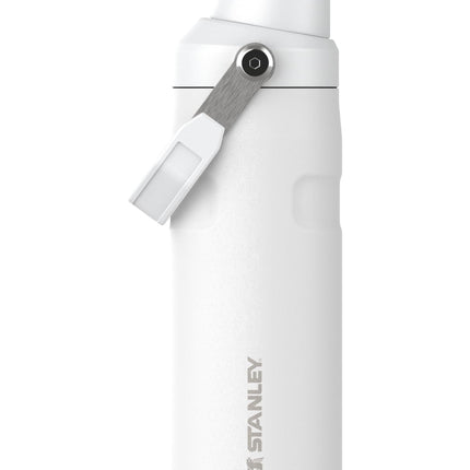 Stanley IceFlow Fast Flow Water Bottle 16 oz | Ang