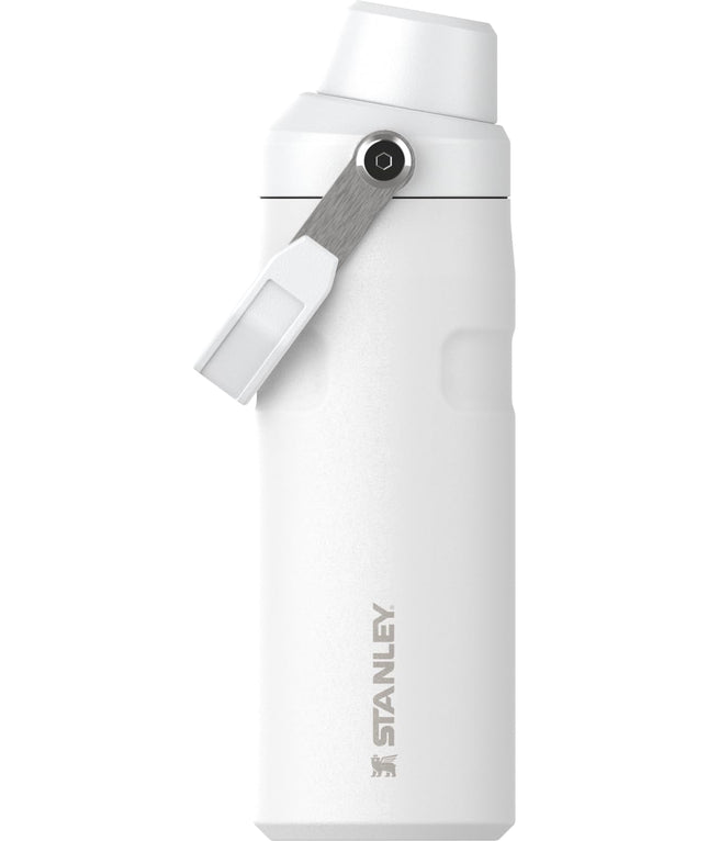 Stanley IceFlow Fast Flow Water Bottle 16 oz | Ang
