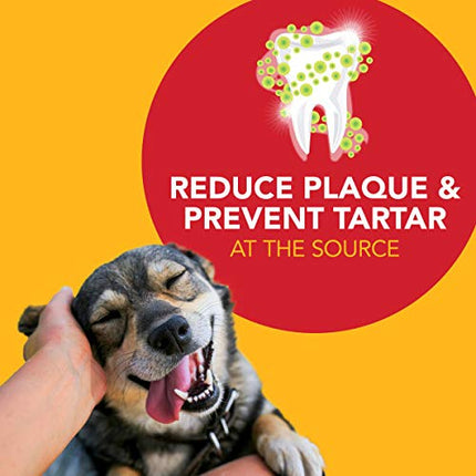 Petrodex Dental Care Kit for Dogs and Puppies, Cleans Teeth and Fights Bad Breath, Reduces Plaque and Tartar Formation, Enzymatic Tooth Brushing Kit, Poultry Flavor, 2.5oz Toothpaste + Toothbrush