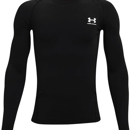 UA HG Armour LS