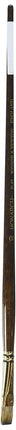 Winsor & Newton 5502010 Brush – Clear x 20 x 2 cm