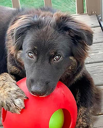 Jolly Pets Teaser Ball Dog Toy, 20 cm, Red