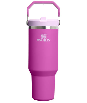 Stanley IceFlow 2.0 Flip Straw Cup with Handle, Sc