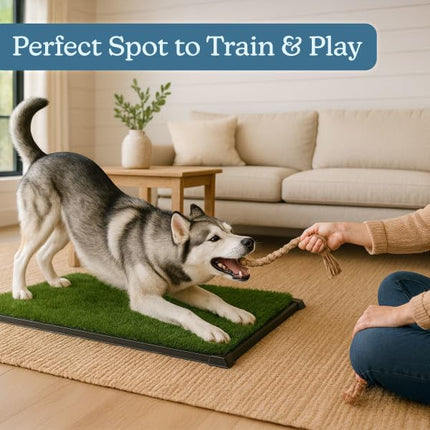PETMAKER - Dog Grass Mat with Tray - 35.5" x 23.5" Reusable Dog Pee Pads - Artificial Grass Mat for Indoor Outdoor