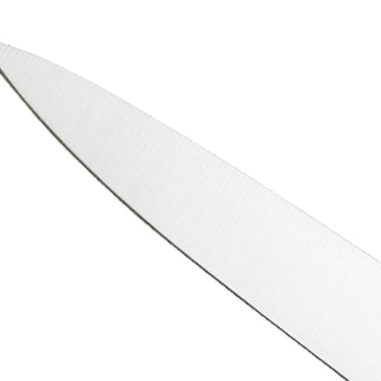 Mercer Culinary M20410 Genesis 10-Inch Forged Carving Knife