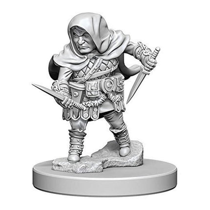 WizKids Dungeons & Dragons: Nolzur's Marvelous Unp