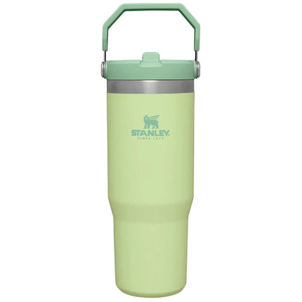 Stanley IceFlow Stainless Steel Tumbler - Vacuum I