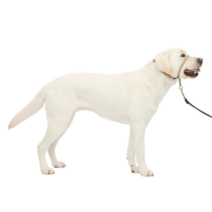 PetSafe Gentle Leader Headcollar, No-Pull Dog Collar, Fawn, Large 60-130 Lb.