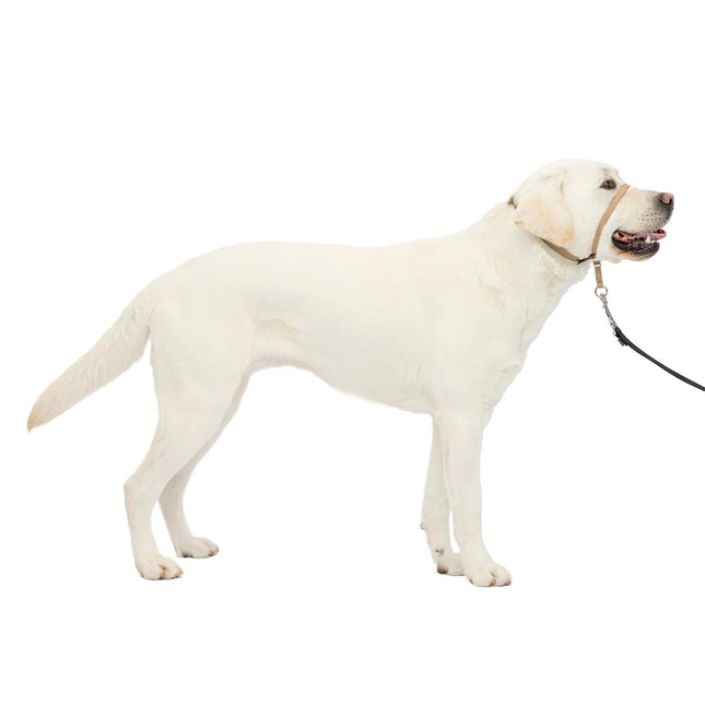 PetSafe Gentle Leader Headcollar, No-Pull Dog Collar, Fawn, Large 60-130 Lb.