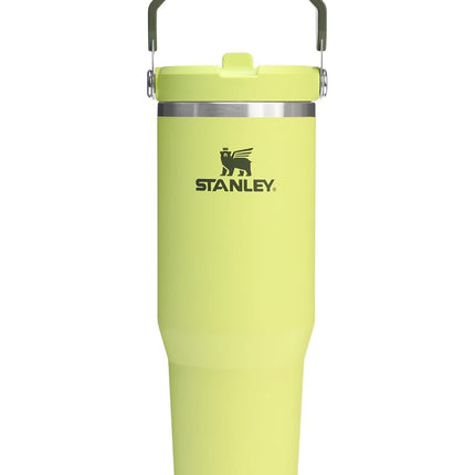 Stanley IceFlow 2.0 Tumbler with Flip Straw with Handle 887ml - Screw Lid and Flip Straw - Leakproof Water Bottle - Stainless Steel - BPA Free - Prickly Pear