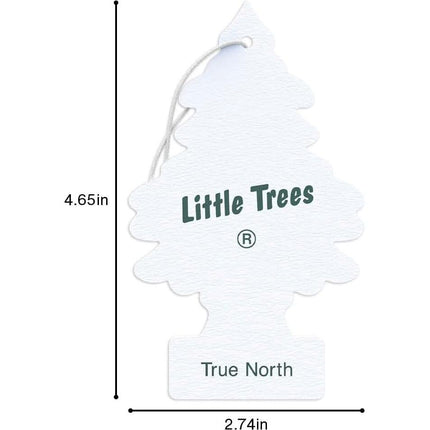 Little Trees Car Air Freshener | Hanging Paper Tree for Home or Car | True North | 3 Pack