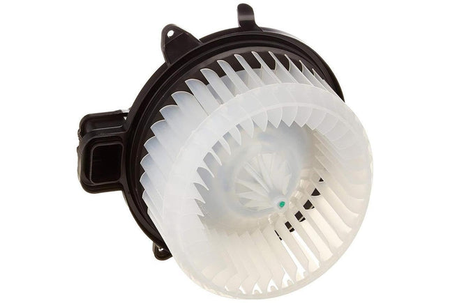 Blower Motor