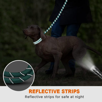 Taglory Dog Lead Reflective Rope for Medium Large Dogs