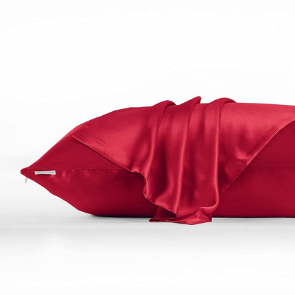 DISANGNI 100% Natural Mulberry Silk Pillow case for Hair and Skin with Hidden Zipper 22 Momme Both Sides Real Silk Pillow Case (2pc Queen Size 20" x30", Red)