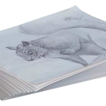 Sax Plain White Newsprint Newspaper - 8 1/2 x 11 inches - Pack of 500 - White