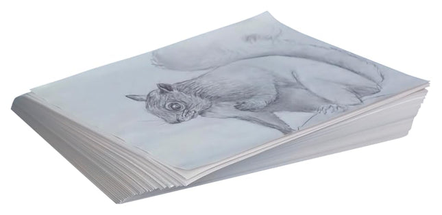 Sax Plain White Newsprint Newspaper - 8 1/2 x 11 inches - Pack of 500 - White