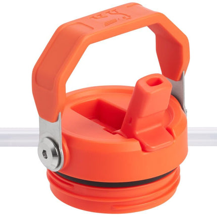Bouteille Stanley IceFlow Aerolight Flip Straw 2.0, 1,1 litre, prune Tigerlily