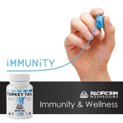 Pacific Rim Mushrooms Organic Turkey Tail Mushroom Supplement (120 Veggie Caps) Extract Powder Capsules 🍄 Longevity and Immune System from Ltd. ® …