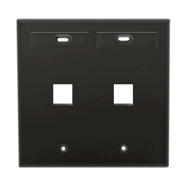 Leviton 42080-1IP 1-Port Dual Gang QuickPort Wallplate with ID Windows, Ivory