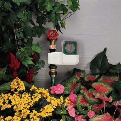 Orbit 62024 Single-Dial Hose Watering Digital Timer