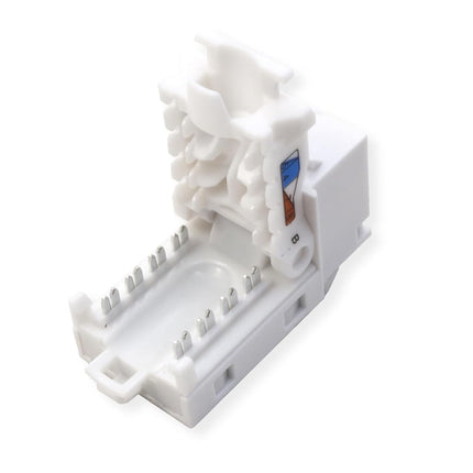 TRENDnet Cat6 Keystone Jack – 50-Pack, 90° Angle Termination, Colour-Coded Labelling for T568B Wiring, TC-K50C6