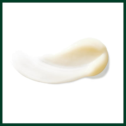 Aveda Men Pure-Formance Conditioner | Lightweight Hair Conditioner for Men | Adds Shine | Scalp Care, 300ml