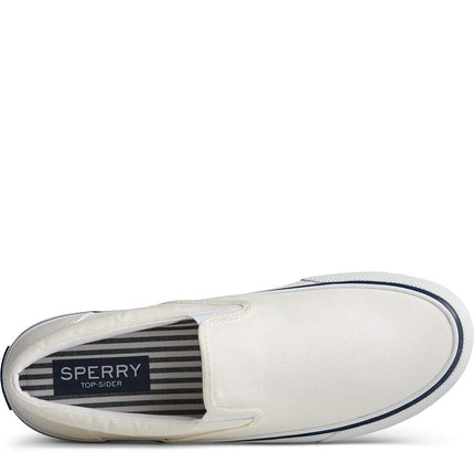 Sperry Men's Striper II Slip On Sneaker, Sw White, 4 M US