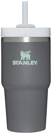 Stanley Quencher H2.0 FlowState Tumbler, Stainless