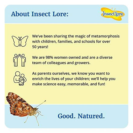 Insect Lore Two Cups of Live Caterpillars with Butterfly Life Cycle Figurines | Butterfly Habitat or Kit Refill | Painted Lady Butterflies