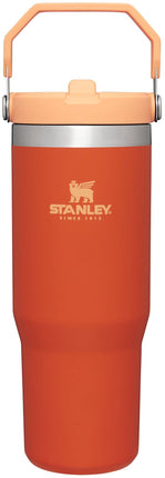 Stanley IceFlow™ Flip Straw Tumbler 30oz Tigerlily