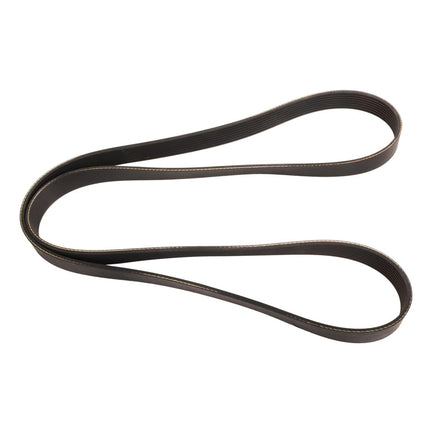 Continental OE Technology Series 4081215 8-Rib, 12