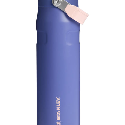 Stanley IceFlow Flip Straw 2.0 Water Bottle 24 oz 