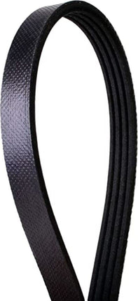 Continental OE Technology Series 4040488 4-Rib, 48