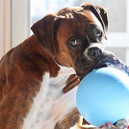 Jolly Pets Romp-n-Roll Rope and Ball Dog Toy, 8 Inches/Large, Blueberry, All Breed Sizes