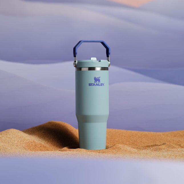 Vaso Stanley IceFlow 2.0 Flip Straw con Asa 30 oz | Tapa Giratoria y Pajita Abatible | Botella de Agua a Prueba de Fugas | Acero Inoxidable Aislado | Sin BPA | Cactus Azul