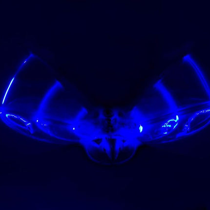 Duncan Duncan Dragon Hawk Light Up Bird Toy