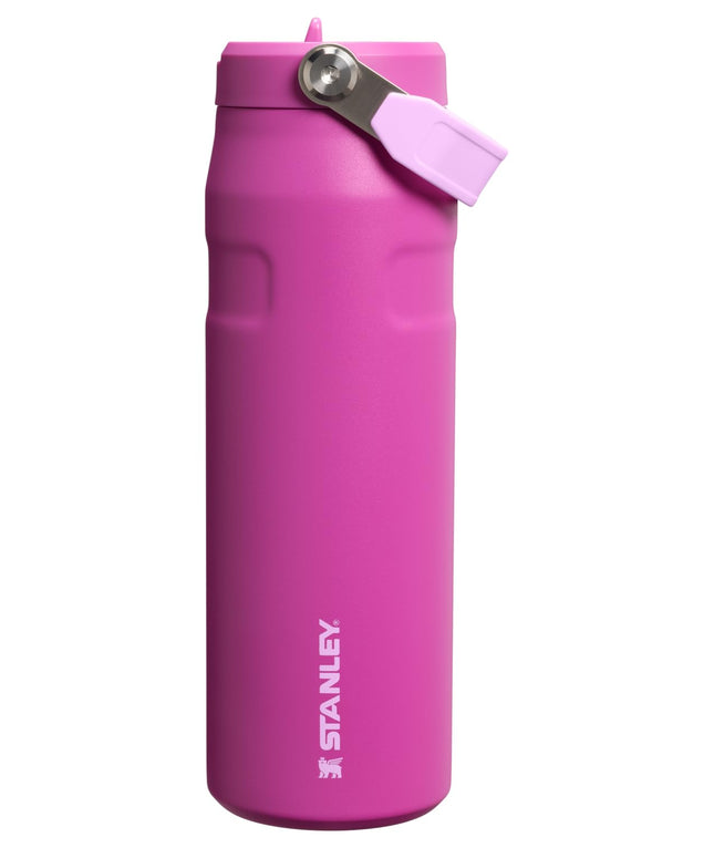 Stanley IceFlow Flip Straw 2.0 Water Bottle 24 OZ 